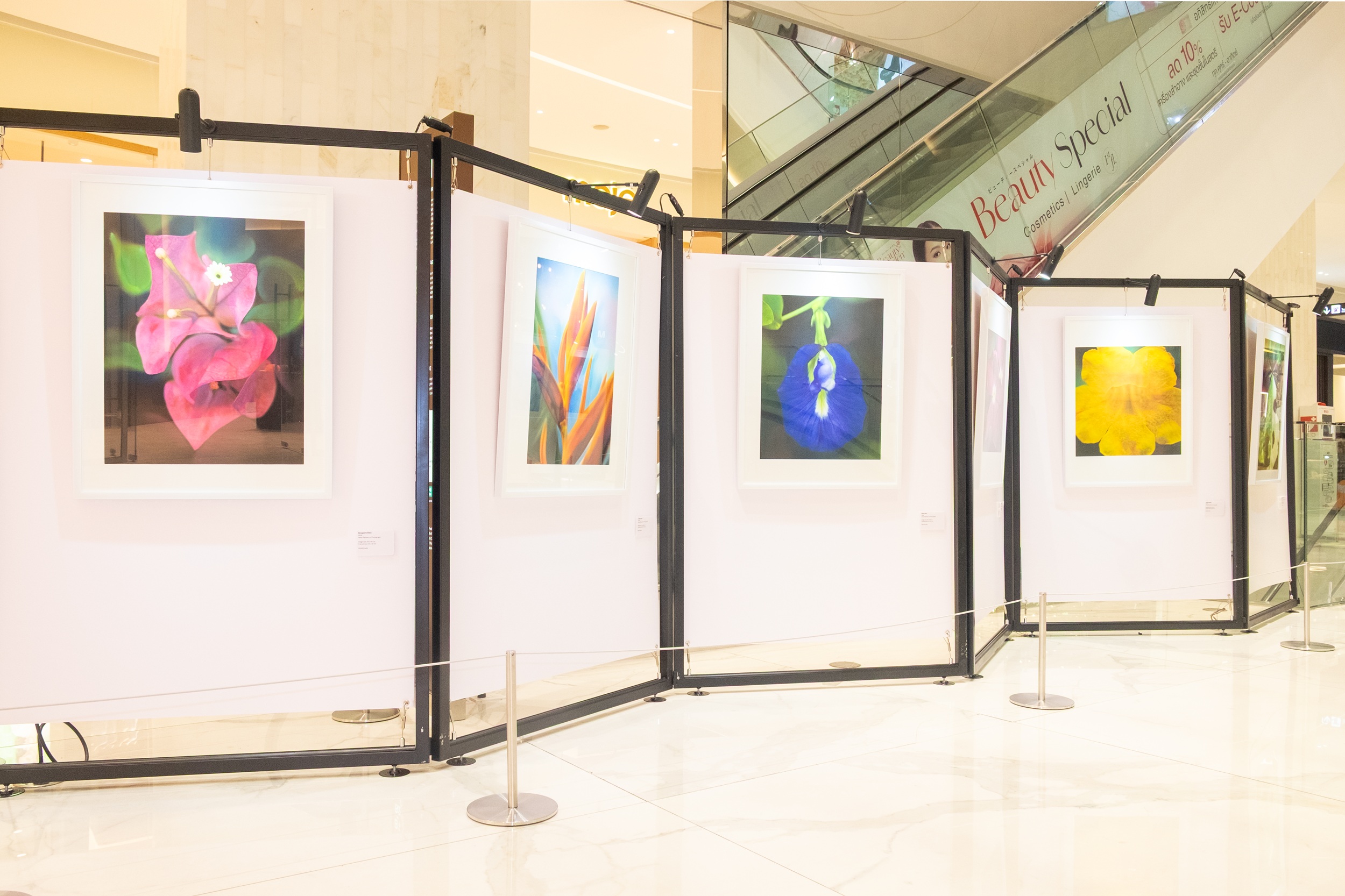 สยาม ทาคาชิมายะ เปิดพื้นที่แห่งความงาม “Flower & Friend” ชวน 2 ศิลปินหญิงถ่ายทอดดอกไม้และมิตรภาพ ผ่านภาพถ่าย–สื่อผสม–เซรามิก ชมฟรี 1–15 กันยายนนี้